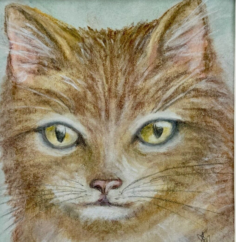 Original Pastel 1997 Ginger Cat Sketch Direct Gaze 10×8 Inches Matted