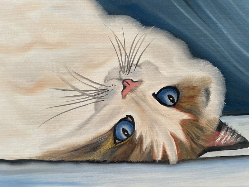 Original oil painting signed 11 x 14 in white cat blue eyes