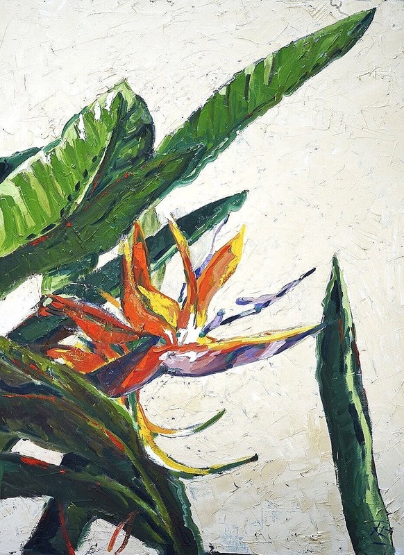 Large original painting bird of paradise oil on canvas 30×40″