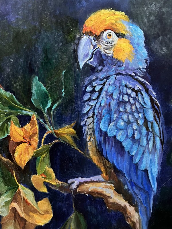 Parrot Portrait, Original Painting oil, 16x20 inches, Handmade Gift, Home Decor gallery
