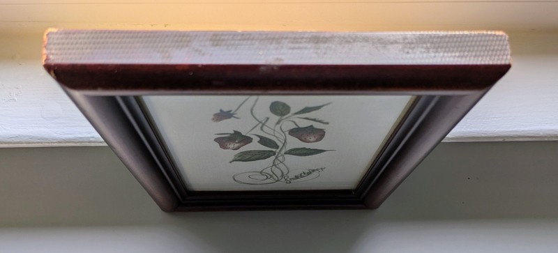 Theorem Signed Painting Strawberries on Vines Framed Behind Glass 8.5" x 6.5" gallery