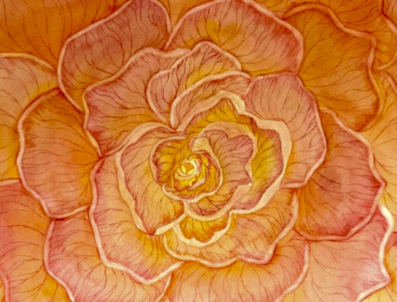 PAINTING WATERCOLOR 11X14 AND WHITE MAT 16X20 FLOWER ROSE ORANGE CORAL PINK ART