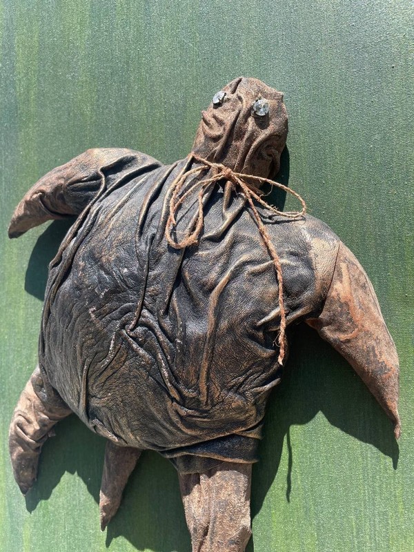 Original Turtle Skin Acrylic 3D Canvas Exclusive Steam Punk 24X18 in Hand gallery
