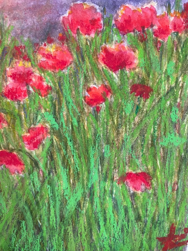 Poppies landscape painting, sunset, original watercolor , oil pastel art 8 x 12 gallery