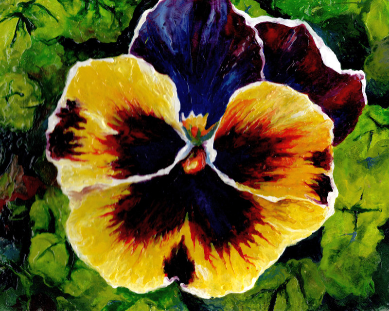 Original painting on cardboard, PENSY, flower, still life, 10×8, signed