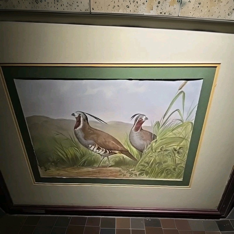 Pope, Alexander Jr Chromolithograph Quails 1875