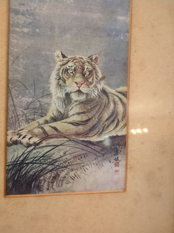 Vtg Japanese Tiger Silk Painting Signed Kawatō Bin Moon Nihonga Showa Art gallery