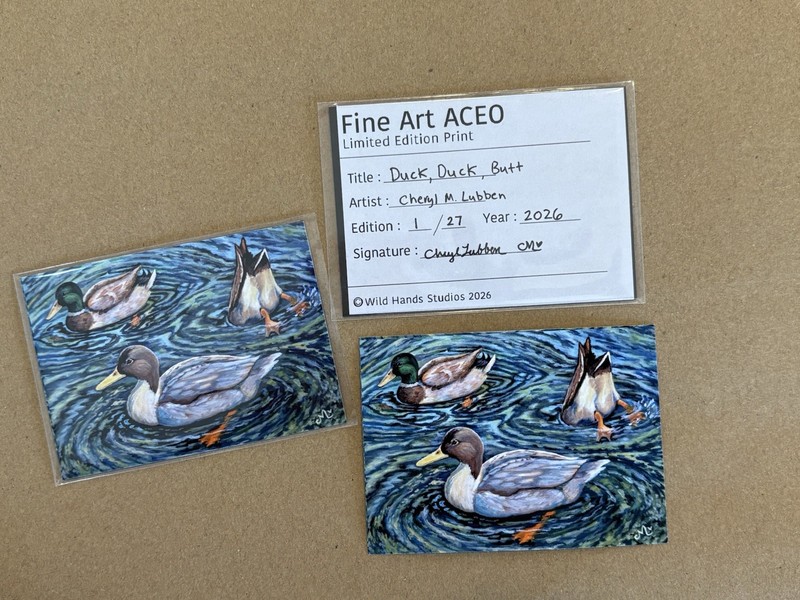 Limited Edition Duck ACEO Print Magnet Mini Bird Art Collectible Ducks Cute Gift gallery