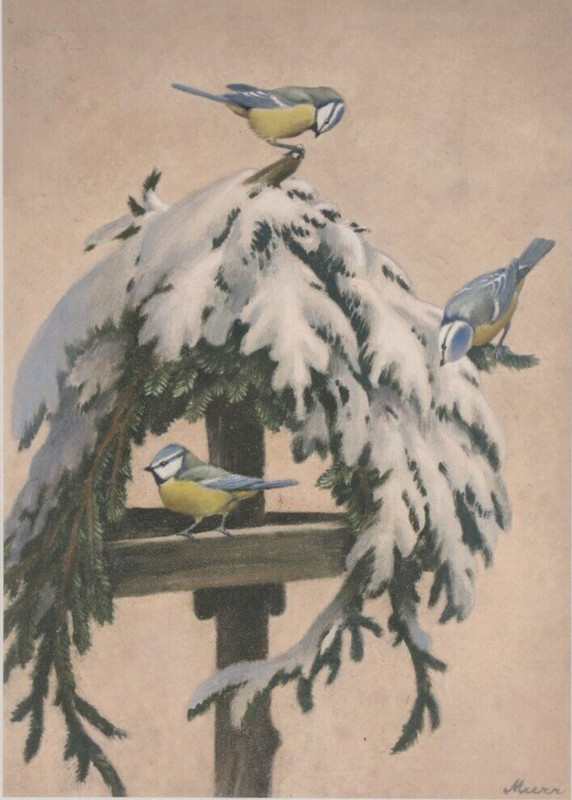 FRANZ MURR ~ blue tit velvet birdhouse ~ painting signed birds bluetit painting
