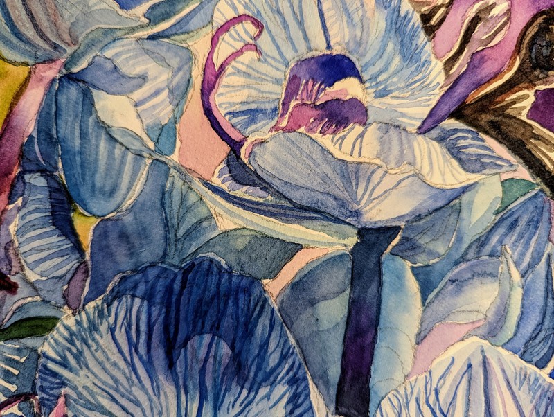 Original Watercolor Painting 12"x 9" Blue Orchids gallery
