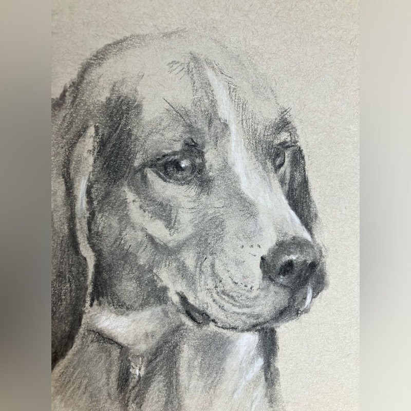 Original Beagle Painting dog Art charcoal pastel Dogs artwork Ooak Artwork USA