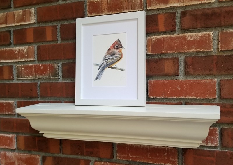 Tufred Titmouse Print of an orign. watercolor painting. 5x7"with white mat 8x10" gallery