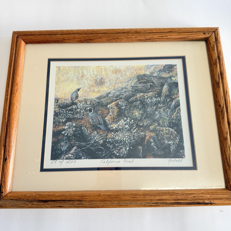 California Quail Painting by Edward Newbold Signed 55 of 1500 12 X 15.5 Frame