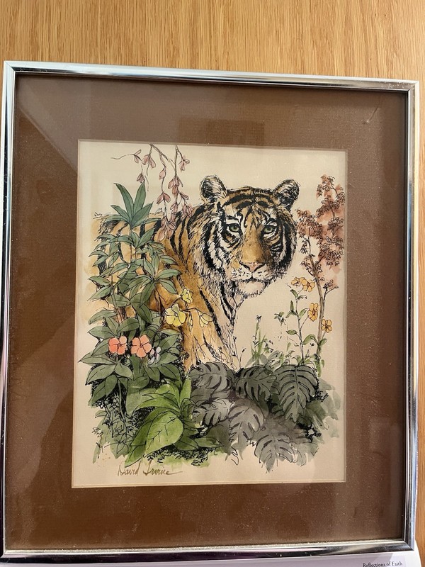 David Irvine Original Ink & Watercolor illustration Bengal Tiger Signed