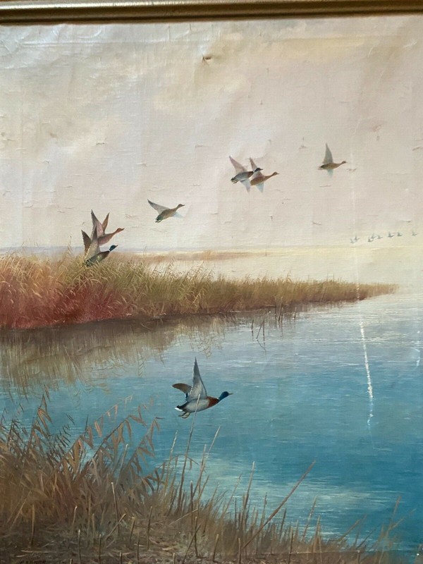 ::K. A. BAUER °FLUGENTEN ENTEN AM UFER SEE BUCHT °ÖLGEMÄLDE SIGNIERT RAHMEN ° gallery