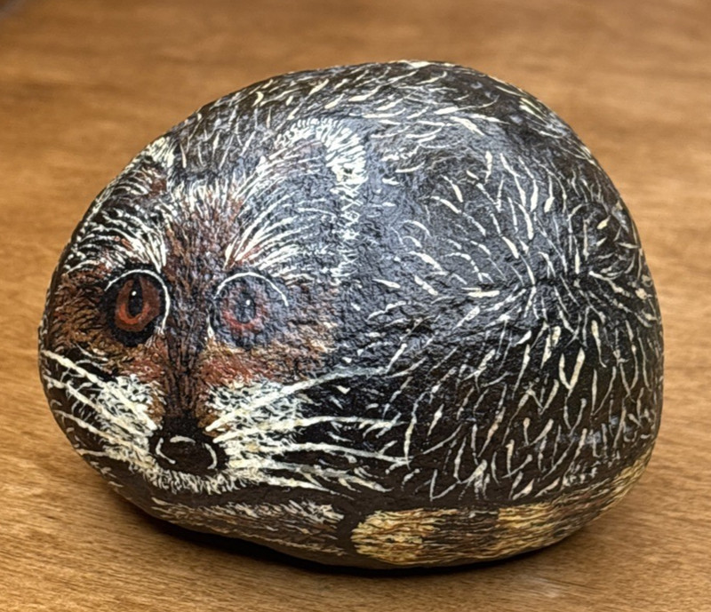 Pet Rock Raccoon Art Hand Painted Stone Paperweight 3.5″ Tall