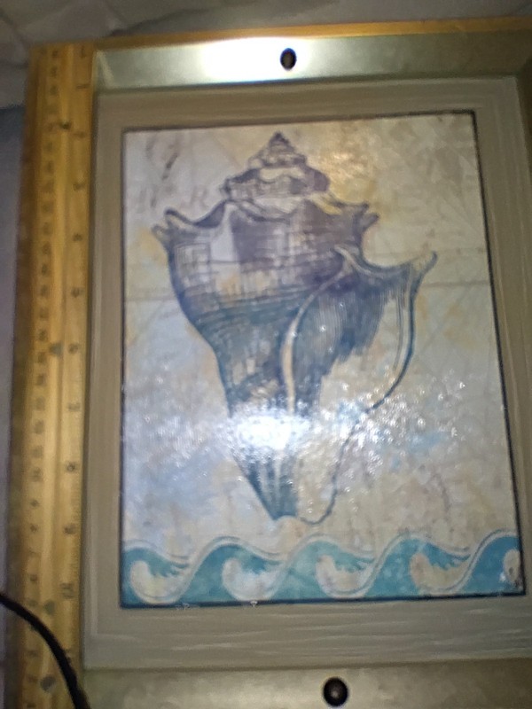 Vintage seashell wall art , Painting Of Conch Shell, Signed Nan gallery