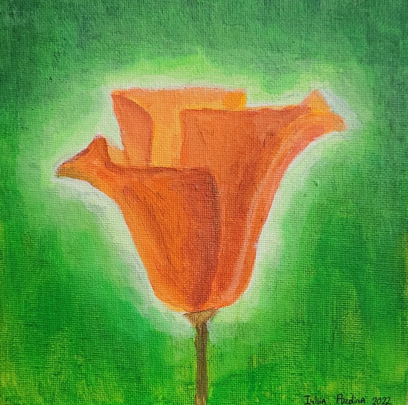 California poppy. acrylic painting by me. Acrylic. 6×6 in