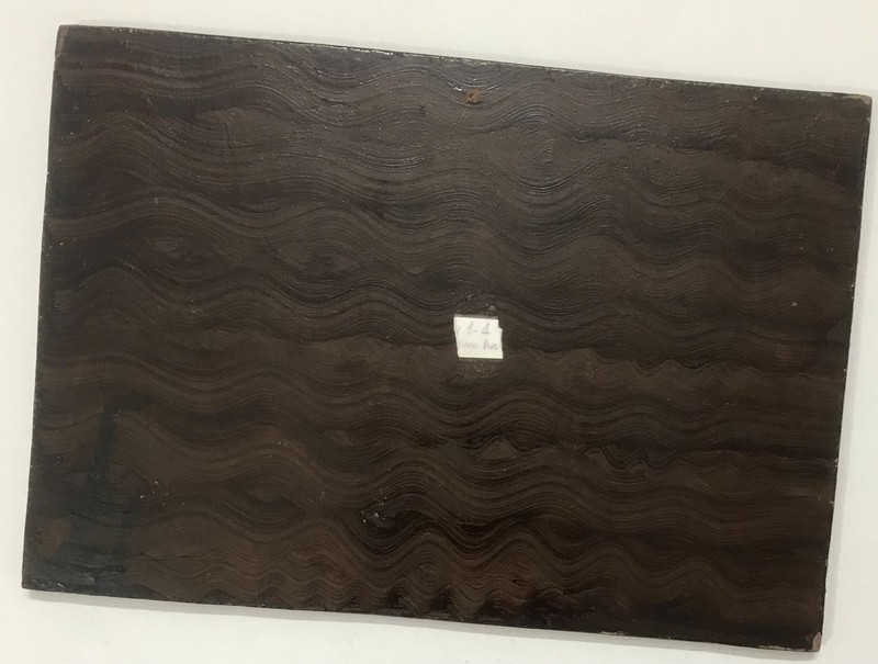 Ha Quoc Cong(1955-2024) RENEWAL IN GOLD lacquer on wood orig 20x30cm HIFAU gallery