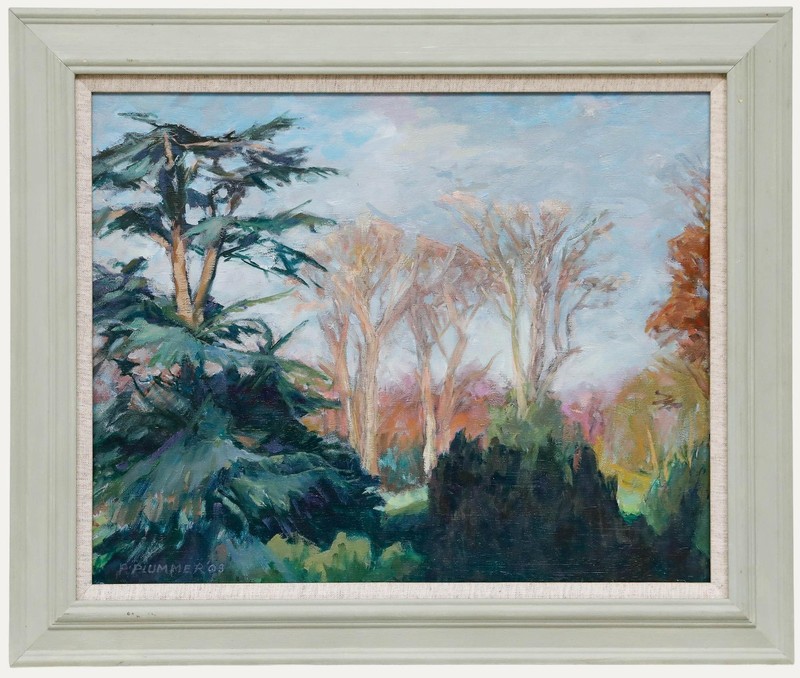 Pauline Plummer (b.1933) - Framed Contemporary Oil, Old Lebanon Cedar