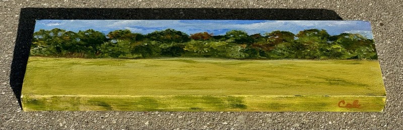 Original Mini Landscape Painting Art Signed Cole 12” X 4” Unframed Ready to Hang gallery