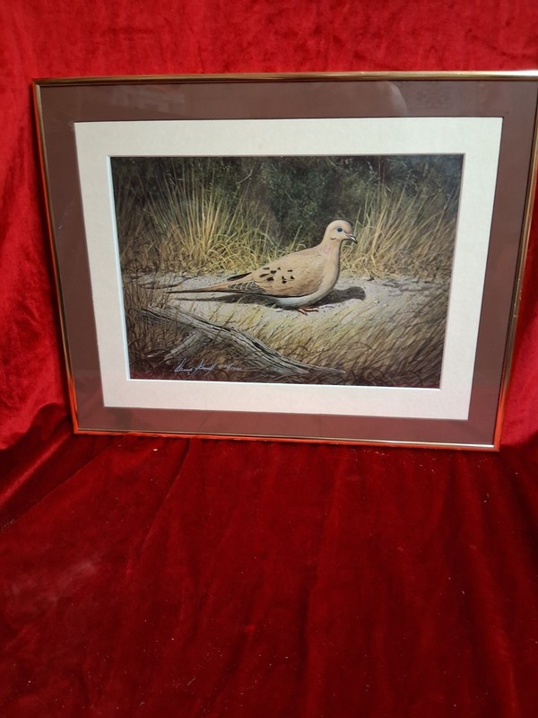 Dennis Schmidt Mourning Dove Limited Edition Signed Print 799/1000