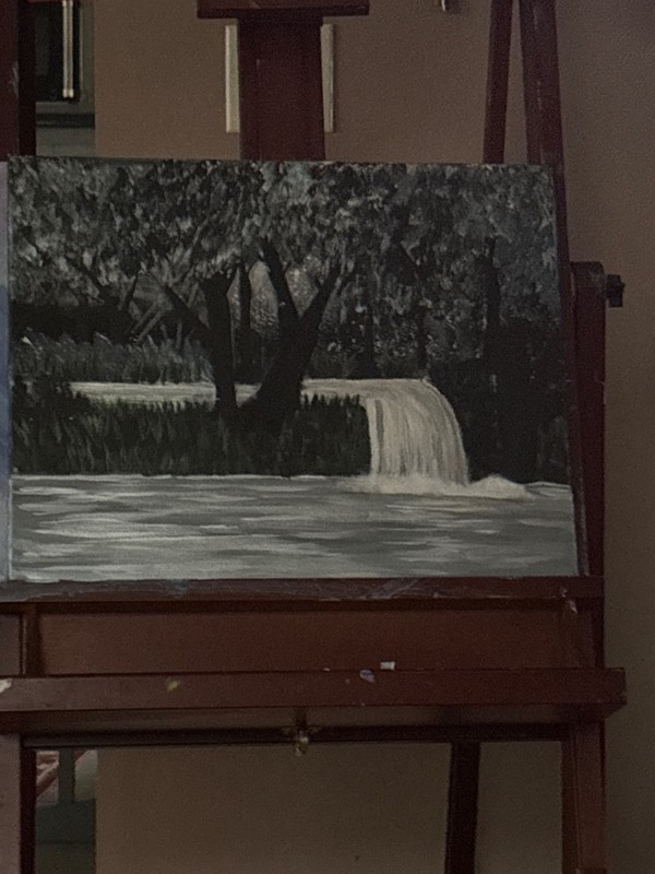 Waterfall in the Forrest gallery