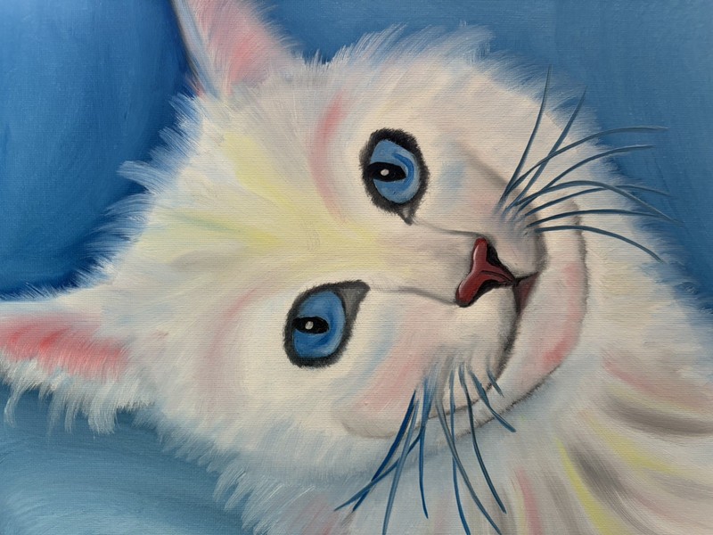 Original Oil painting art on canvas 11 x 14 in portrait colorful abstract cat gallery
