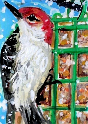 ORIGINAL ACEO PAINTING Red Bellied WOODPECKER Snow BIRD Suet Nature ATC ART