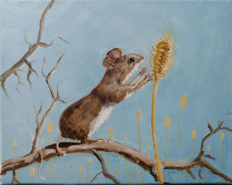 MQ871 Stretched Canvas Frame / Unframed Handmade Mouse Wheat Oil Painting Art
