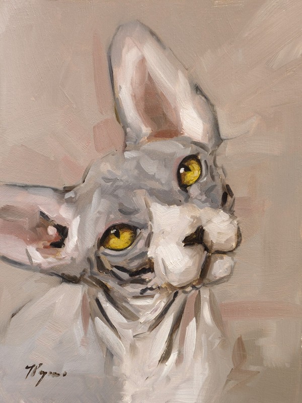sphynx cat original art – Oil painting portrait by UK artist j payne