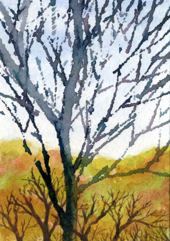 ACEO Original Watercolor Painting Bare Trees Landscape 100% Cotton Artist