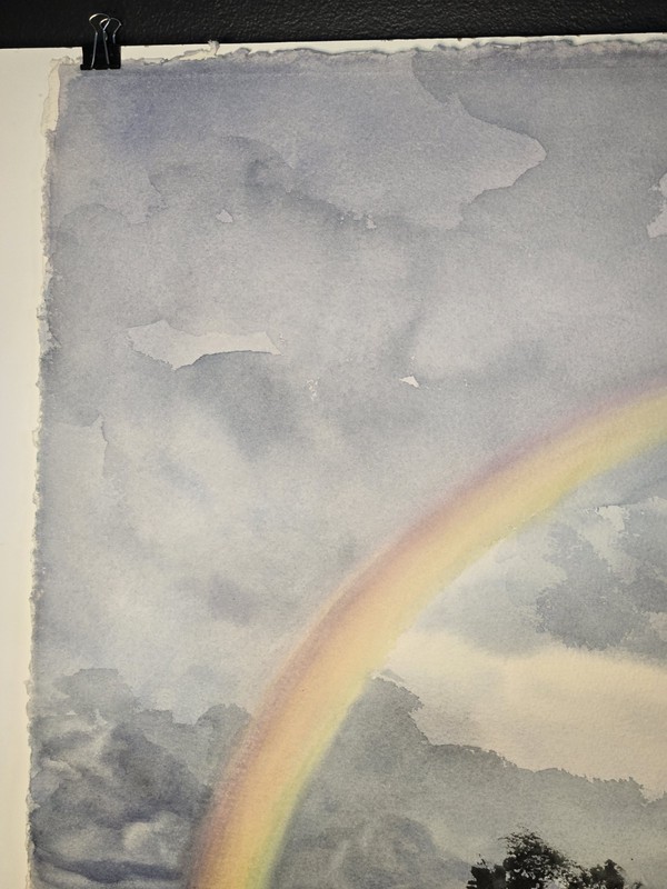 Todd Reifers Rainbow Watercolor Painting No Frame 22.5 X 30 Inch Signed Art gallery