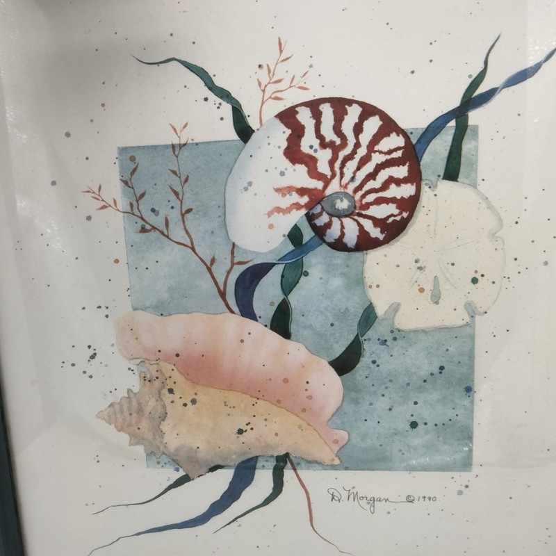 D. Morgan Nautical Seashell Ocean Beach Watercolor Signed & Framed 13x13 gallery