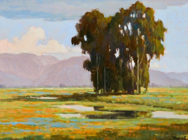 Patrick Woodman-Eucalyptus Trees in a California Wildflowers landscape gallery