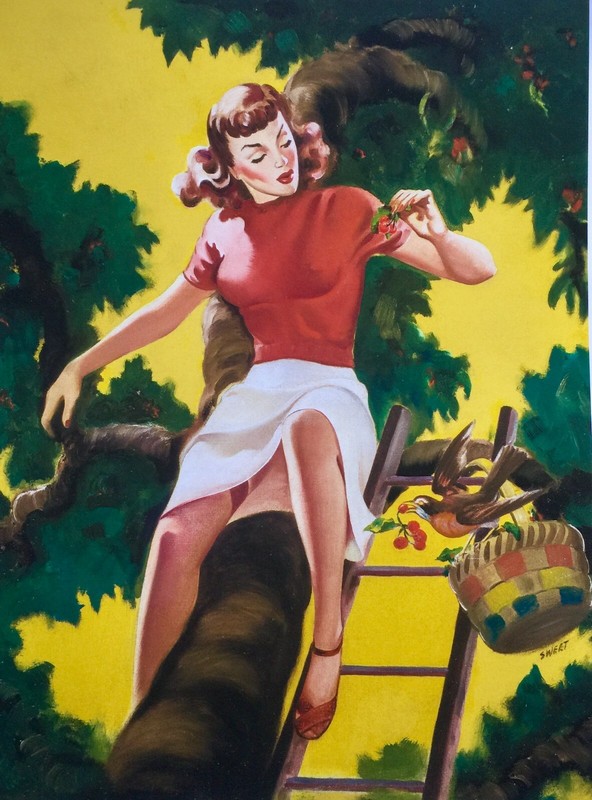 SWEET Buell PINUP CHERRY PICKING Pin-Up nylons Stockings Elvgren 24X20 CANVAS 40