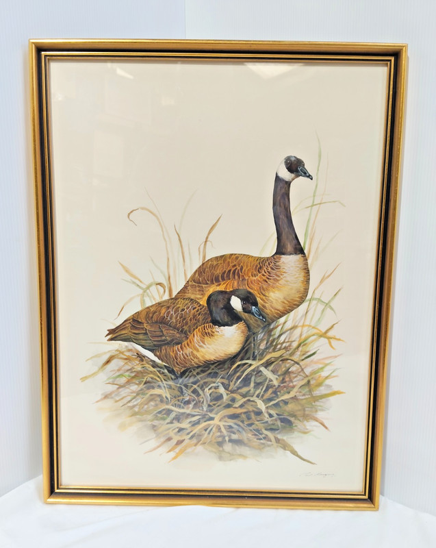 Stunning Original Paul Margocsy Geese Goose Mixed Media Bird Study Signed – AF