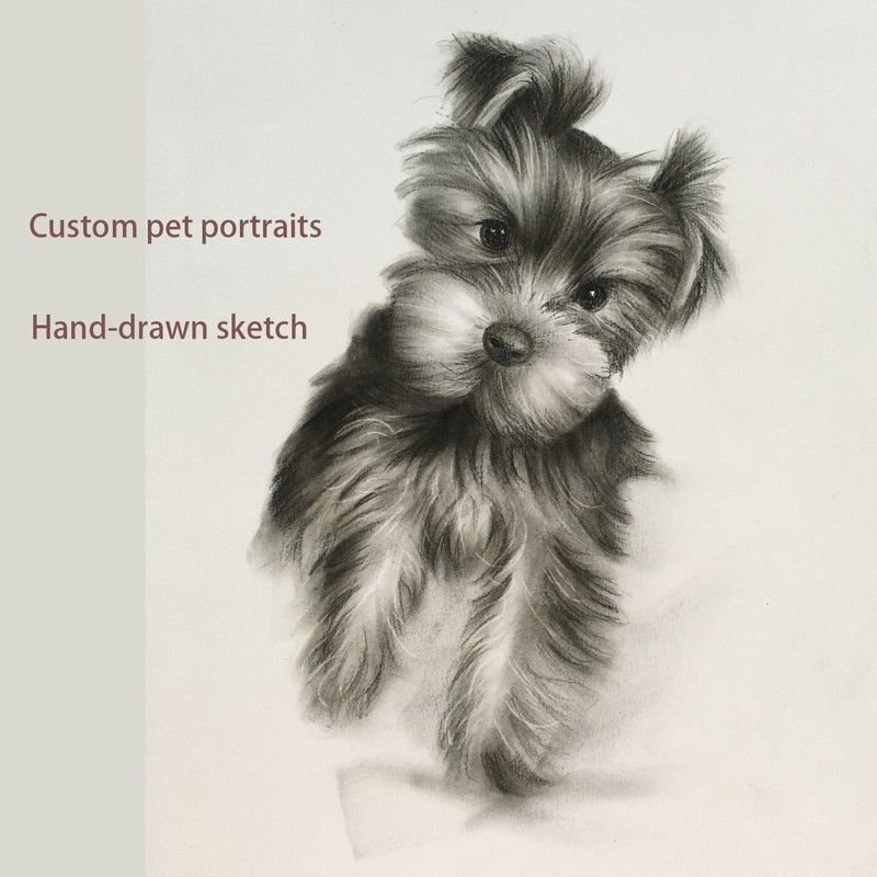 Custom Pet Portrait 6×8″ – Hand Drawn Dog Cat pencil Sketch from Photo Gift