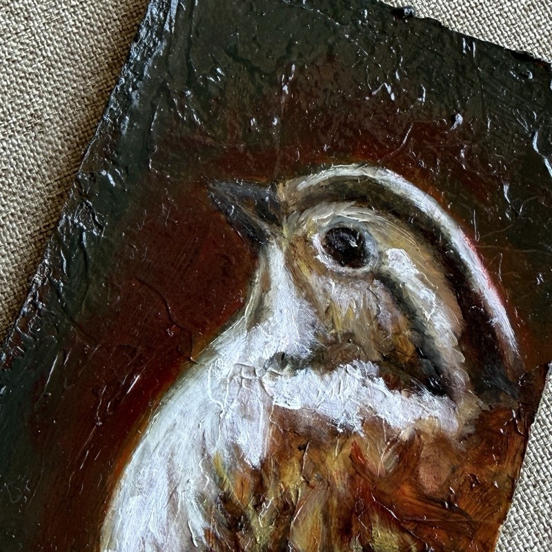 ACEO Original Oil Painting Bird Art Miniature Wildlife Portrait Signed