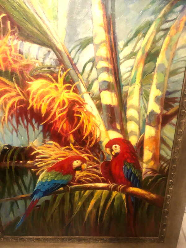 framed oil canvas painting of two multi color parrots in jungle 48in by 37in gallery