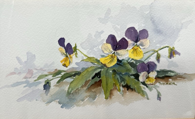 Framed Original Watercolor Painting Violets Artist Signed tHofer gallery