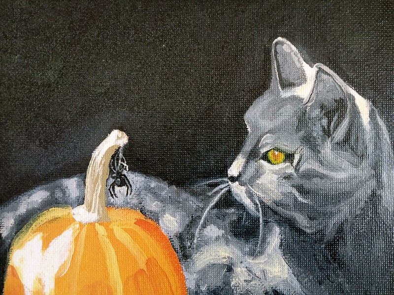 Cat Holloween Pampkin and Spider /14" by 11" Print on Canvas/By Solas /Holloween gallery