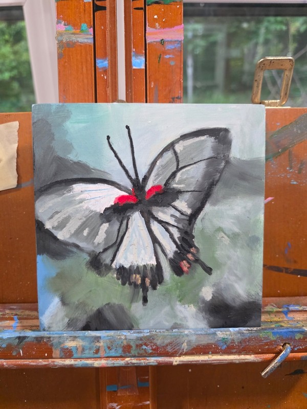A Butterfly Oil Painting on 6″ x 6″ wood Panel