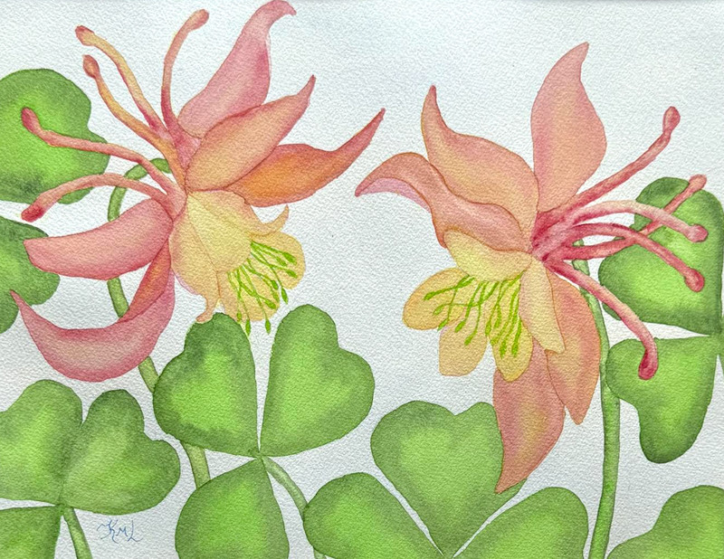 PAINTING WATERCOLOR 11X14 MAT 16X20 FLOWERS COLUMBINE PINK YELLOW CORAL ORIGINAL