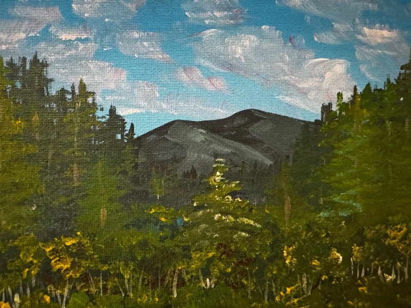 Carter Signed Oil Painting Original Spring Mountain Landscape 8x10 Inch BOISE ID gallery