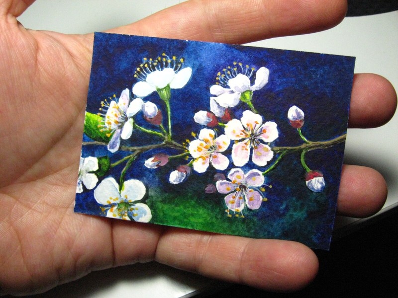Watercolor Painting Spring Flowering Tree Branch Cherry Blossom Sakura ACEO - gallery