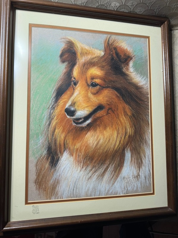 David 1977 «Portrait Of The Collie Dog» Mixed Media Painting – Signed/Framed
