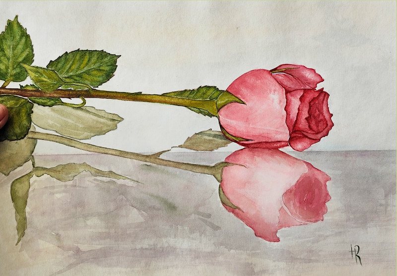 Rose Flower Watercolor Painting Original Floral Art Pink Flowers 12×9 In