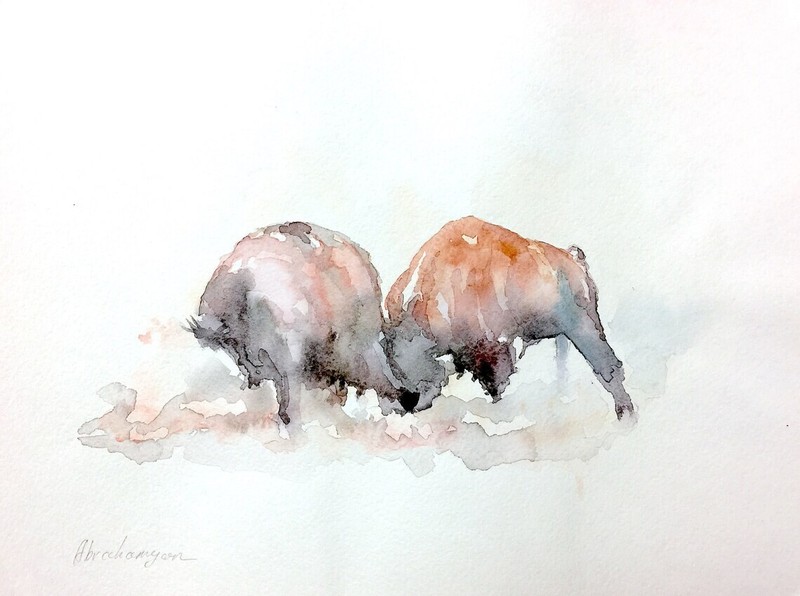 Fighting Bison, Animal, Watercolor artwork, Handmade, Original painting on paper