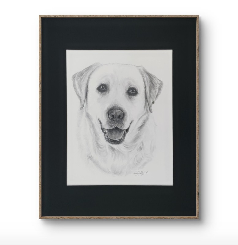 Original 14 x 11 Matted Labrador Dog Graphite Art Portrait Drawing